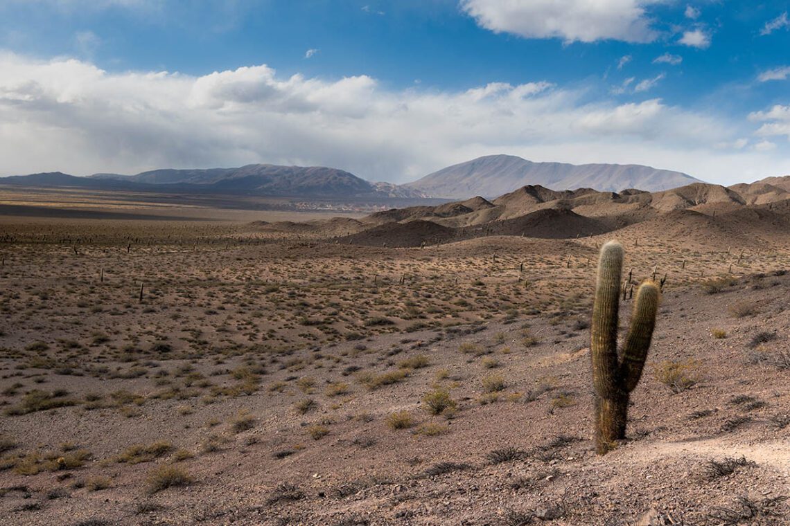 road trip por el norte argentino