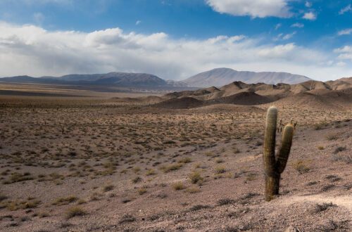 road trip por el norte argentino