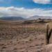 road trip por el norte argentino